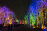 LightArt - DER HERMANN leuchtet 3.0