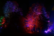 LightArt - Bad Pyrmont leuchtet...