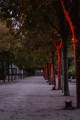 LightArt - Bad Pyrmont leuchtet...