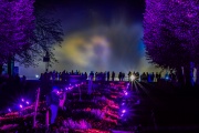 LightArt - Bad Pyrmont leuchtet...