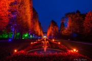 LightArt - Bad Pyrmont leuchtet...