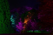 LightArt - Bad Pyrmont leuchtet...