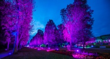 LightArt - Bad Pyrmont leuchtet...