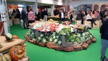 Roadshow Edeka