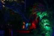 LightArt - Bad Pyrmont leuchtet...