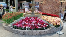 Roadshow Edeka