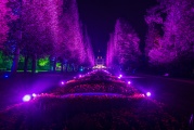 LightArt - Bad Pyrmont leuchtet...