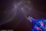 LightArt - DER HERMANN leuchtet