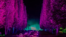 LightArt - Bad Pyrmont leuchtet...