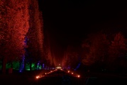 LightArt - Bad Pyrmont leuchtet...